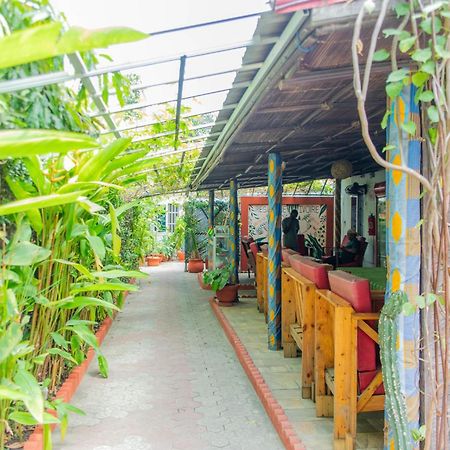 Residence Ivoire 科托努 外观 照片
